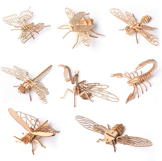 Wooden model puzzle 3D insect