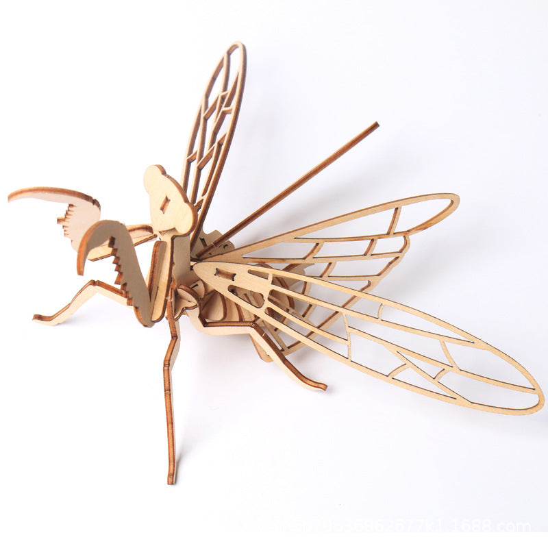Wooden model puzzle 3D insect